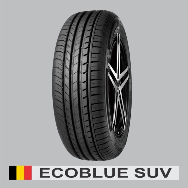 Ecoblue-SUV-30